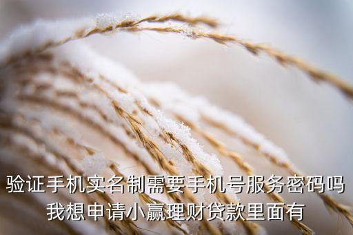 驗證手機實名制需要手機號服務(wù)密碼嗎我想申請小贏理財貸款里面有
