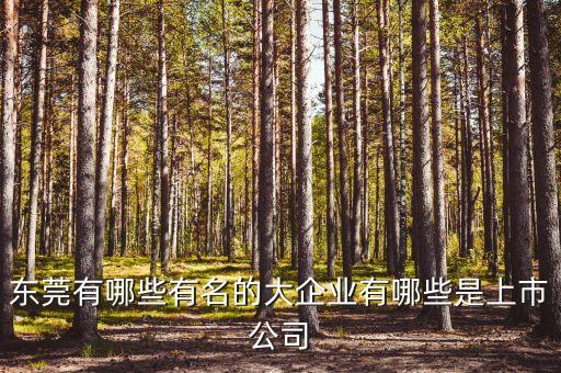東莞有哪些有名的大企業(yè)有哪些是上市公司