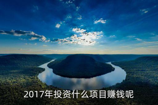 2017年投資什么項目賺錢呢