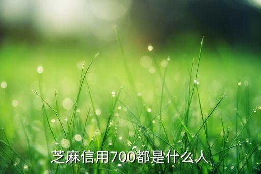 芝麻信用700是什么水平，芝麻信用700算高嗎