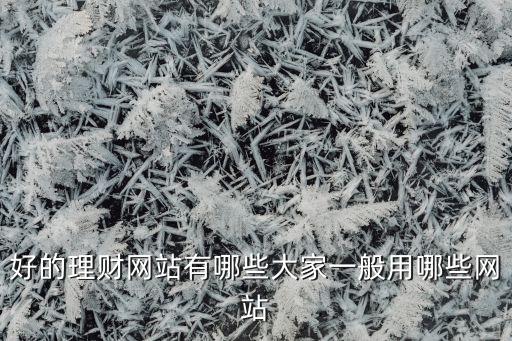 好的理財(cái)網(wǎng)站有哪些大家一般用哪些網(wǎng)站