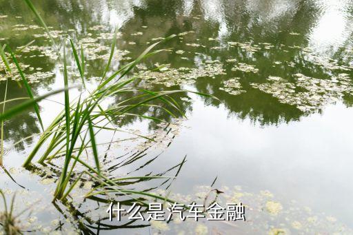 什么是汽車金融