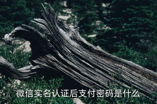 微信實(shí)名認(rèn)證后支付密碼是什么