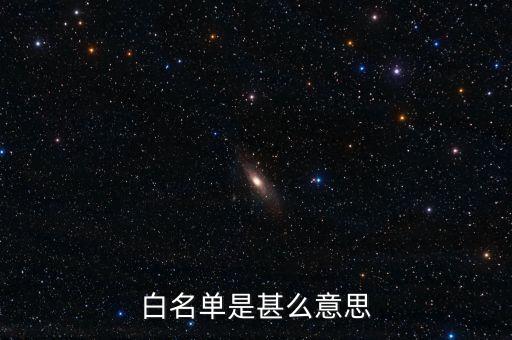 白名單是甚么意思