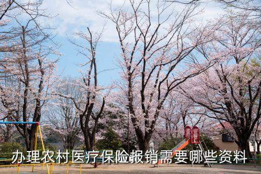辦理農(nóng)村醫(yī)療保險報銷需要哪些資料