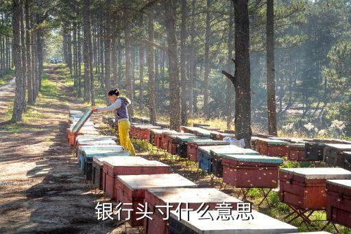 銀行頭寸什么意思