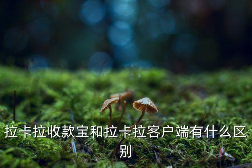 拉卡拉收款寶和拉卡拉客戶端有什么區(qū)別