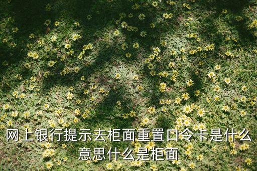 網(wǎng)上銀行提示去柜面重置口令卡是什么意思什么是柜面