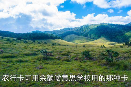 農(nóng)行卡可用余額啥意思學(xué)校用的那種卡