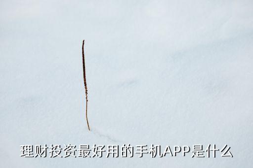 什么APP可以投資，理財(cái)投資最好用的手機(jī)APP是什么