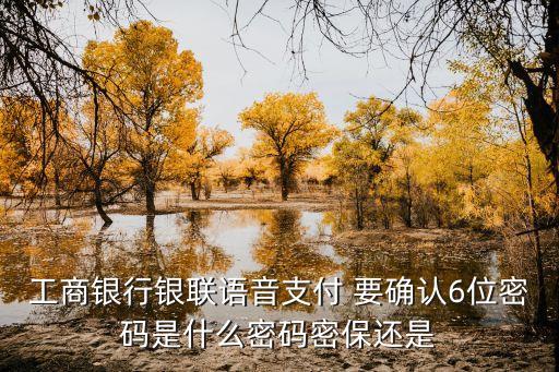 工商銀行銀聯(lián)語(yǔ)音支付 要確認(rèn)6位密碼是什么密碼密保還是