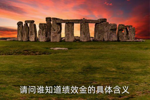 農(nóng)商行績效獎金是什么意思，請問誰知道績效金的具體含義