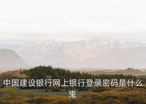 中國(guó)建設(shè)銀行網(wǎng)上銀行登錄密碼是什么鬼