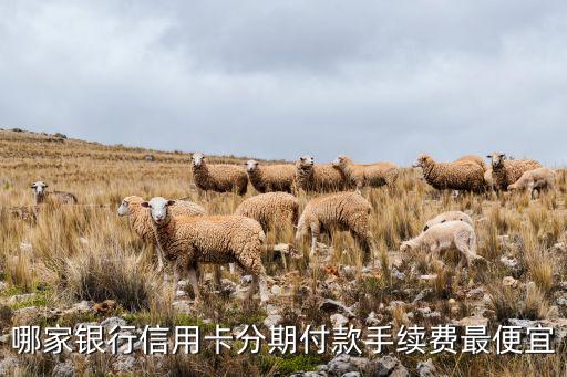 哪家銀行信用卡分期付款手續(xù)費(fèi)最便宜