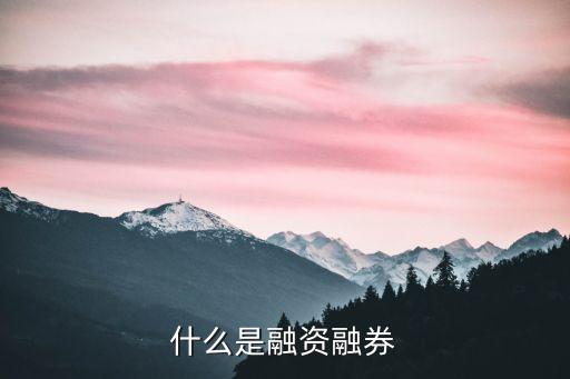 融券業(yè)務(wù) 什么意思，融資融券業(yè)務(wù)是什么