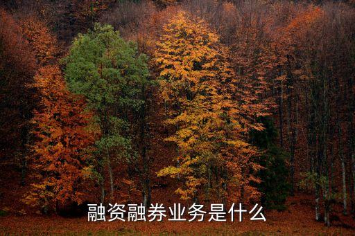 融資融券業(yè)務是什么