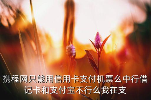 攜程網(wǎng)只能用信用卡支付機票么中行借記卡和支付寶不行么我在支