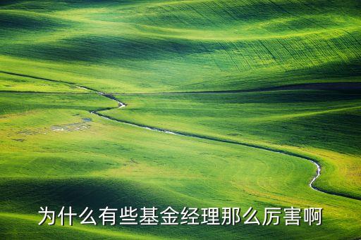 為什么有些基金經(jīng)理那么厲害啊