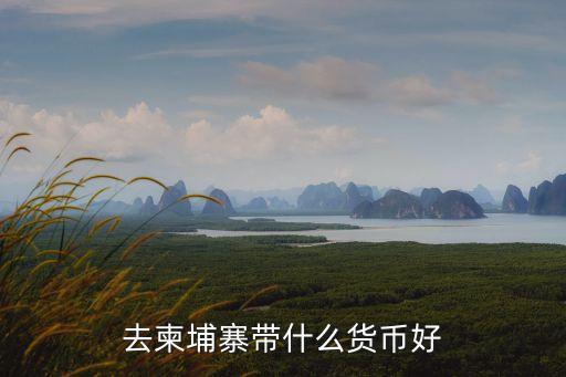 小額美元 有什么用，去柬埔寨帶什么貨幣好