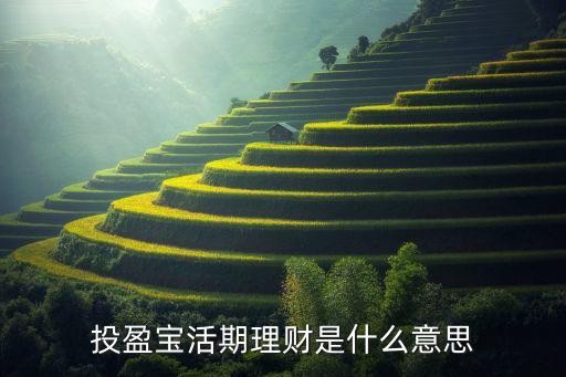 享盈寶是什么東西，收盈寶是做什么的嗎如何使用收盈寶