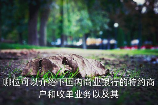 建行收單商戶是什么意思，pos機(jī)終端編號(hào)查詢105410186510513是哪家商戶
