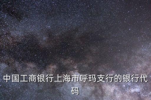 中國工商銀行上海市呼瑪支行的銀行代碼