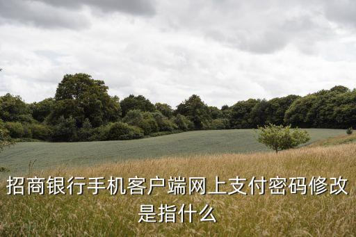 招商銀行手機(jī)客戶端網(wǎng)上支付密碼修改是指什么