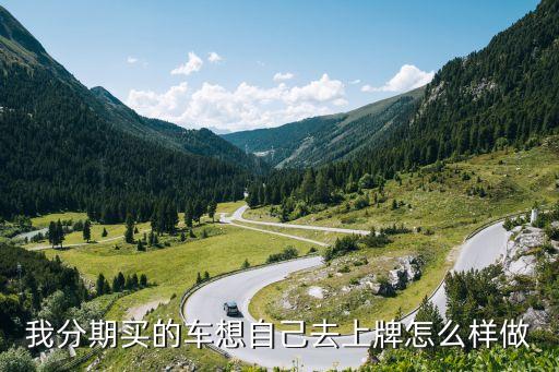 我分期買(mǎi)的車(chē)想自己去上牌怎么樣做