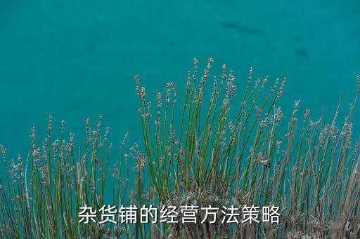 雜貸店都經(jīng)營什么意思，雜和面口袋是什么意思