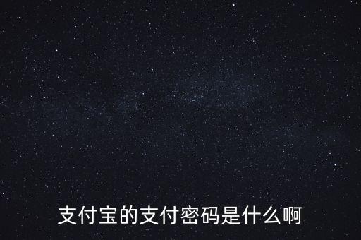 支付寶用什么支付密碼是什么，支付寶的支付密碼是什么