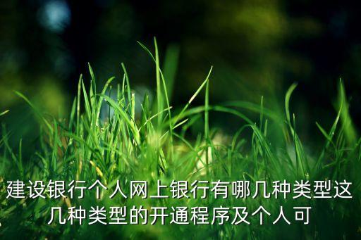 建設(shè)銀行個人網(wǎng)上銀行有哪幾種類型這幾種類型的開通程序及個人可