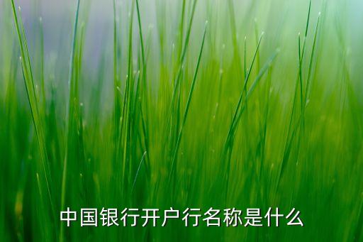 中國銀行開戶行名稱是什么