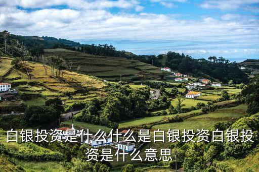 白銀投資是什么什么是白銀投資白銀投資是什么意思