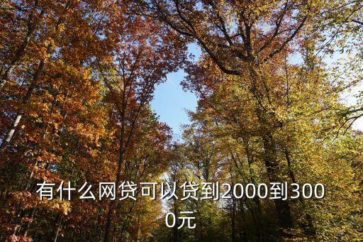 有什么網(wǎng)貸可以貸到2000到3000元