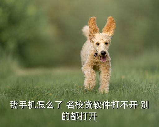 我手機(jī)怎么了 名校貸軟件打不開 別的都打開