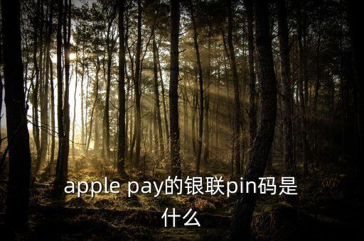 apple pay的銀聯(lián)pin碼是什么