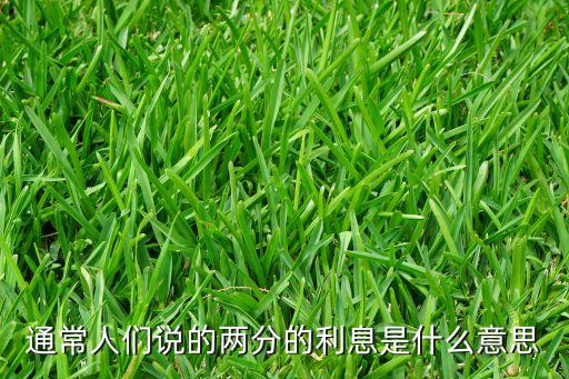 通常人們說的兩分的利息是什么意思