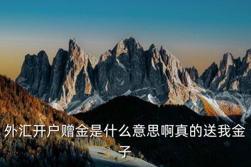 導(dǎo)出欲開戶是什么意思，外匯開戶贈(zèng)金是什么意思啊真的送我金子