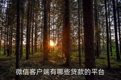 微信客戶端有哪些貸款的平臺