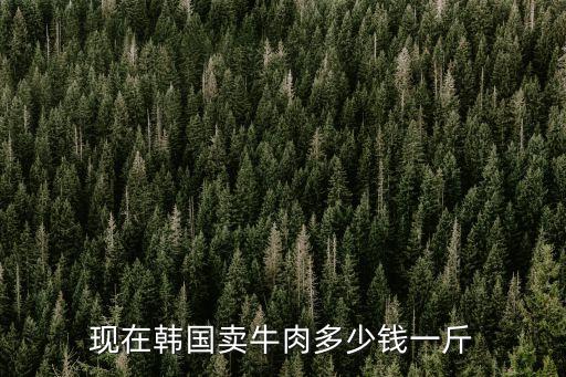 現(xiàn)在韓國賣牛肉多少錢一斤