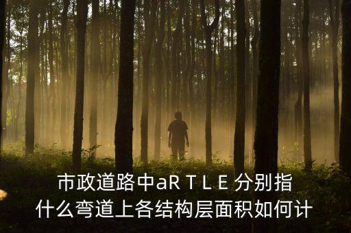 市政道路中aR T L E 分別指什么彎道上各結(jié)構(gòu)層面積如何計(jì)