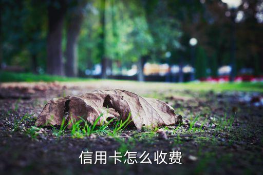 信用卡都收什么費用嗎，信用卡收費都有哪些項目收費