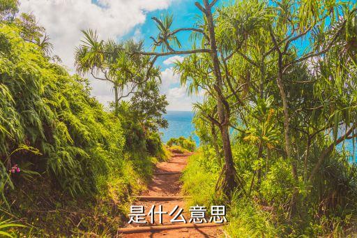 是什么意思