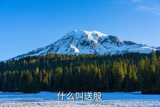 什么叫送股