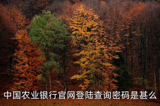 中國農(nóng)業(yè)銀行官網(wǎng)登陸查詢密碼是甚么