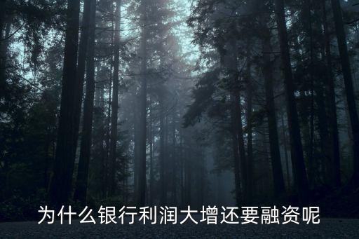 為什么銀行利潤(rùn)大增還要融資呢
