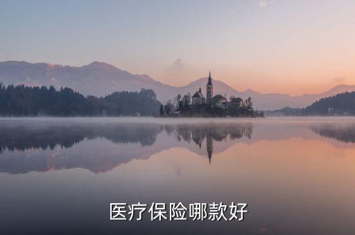 醫(yī)療保險哪款好