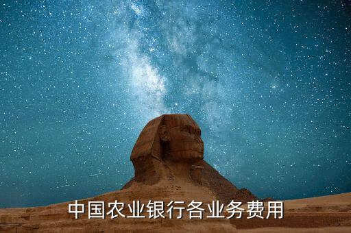 中國(guó)農(nóng)業(yè)銀行各業(yè)務(wù)費(fèi)用