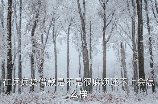 在兵兵貸借款是不是很麻煩還不上會(huì)怎么樣