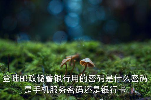 登陸郵政儲蓄銀行用的密碼是什么密碼是手機(jī)服務(wù)密碼還是銀行卡